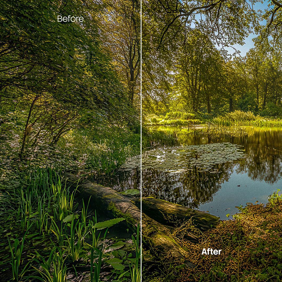 Autumn Path XMP presets color grading preview
