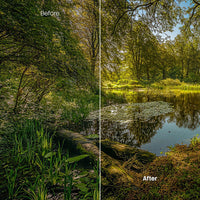 Autumn Path XMP presets color grading preview