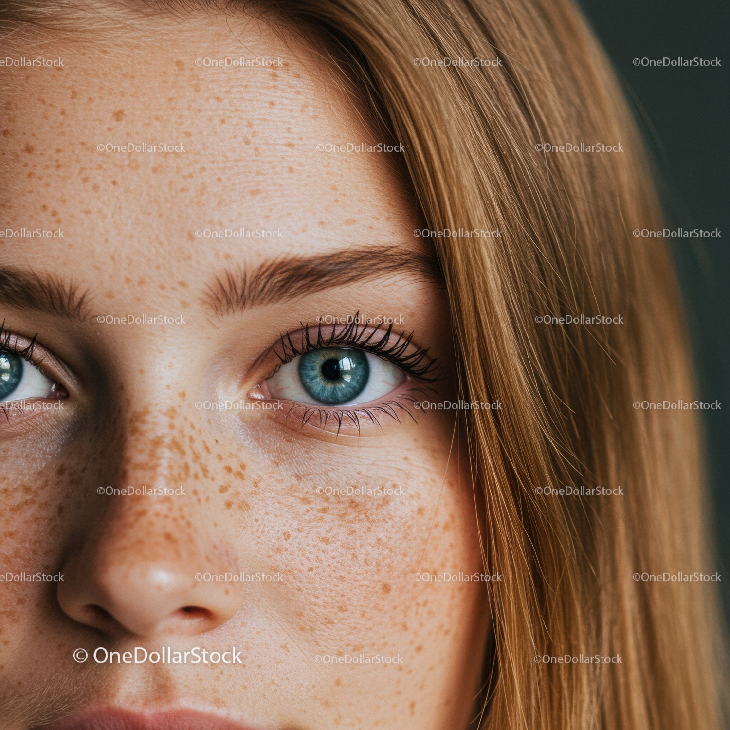 Close up of young woman with freckles and blue eyes