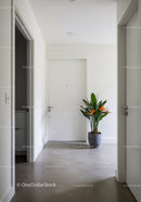 Minimalist Hallway with Potted Monstera Plant in Neutral Home Interior
