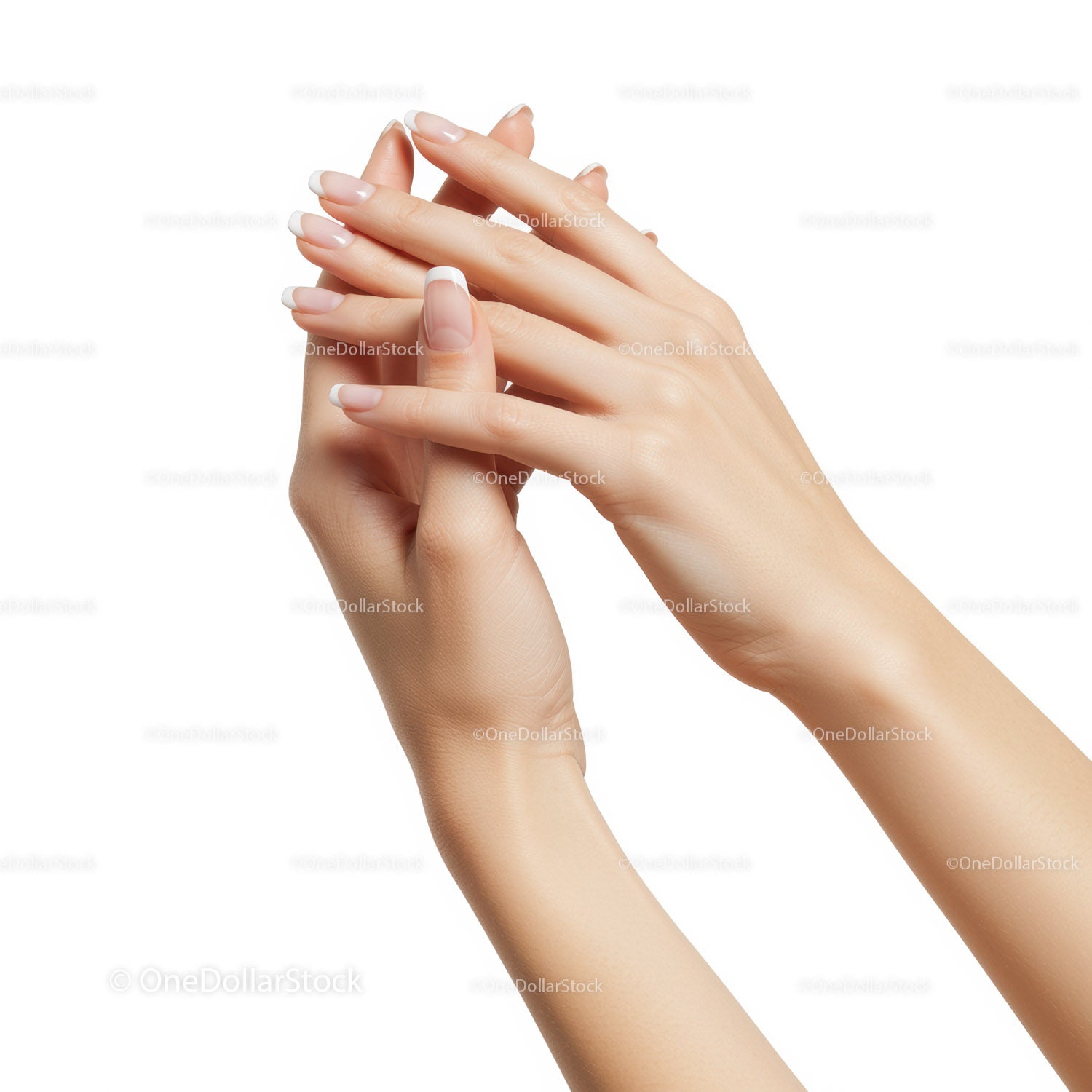 Well manicured hands with French nail polish
