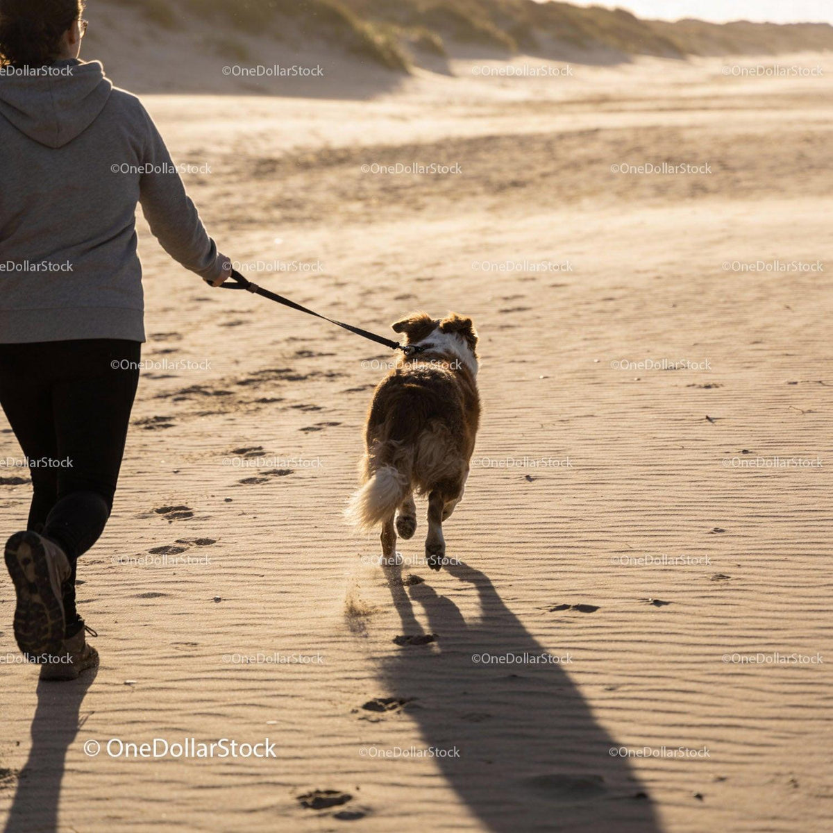 Person Walking Dog on Sandy Beach at Sunset