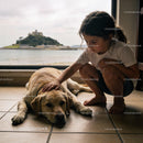 Young girl gently petting her Labrador by the window