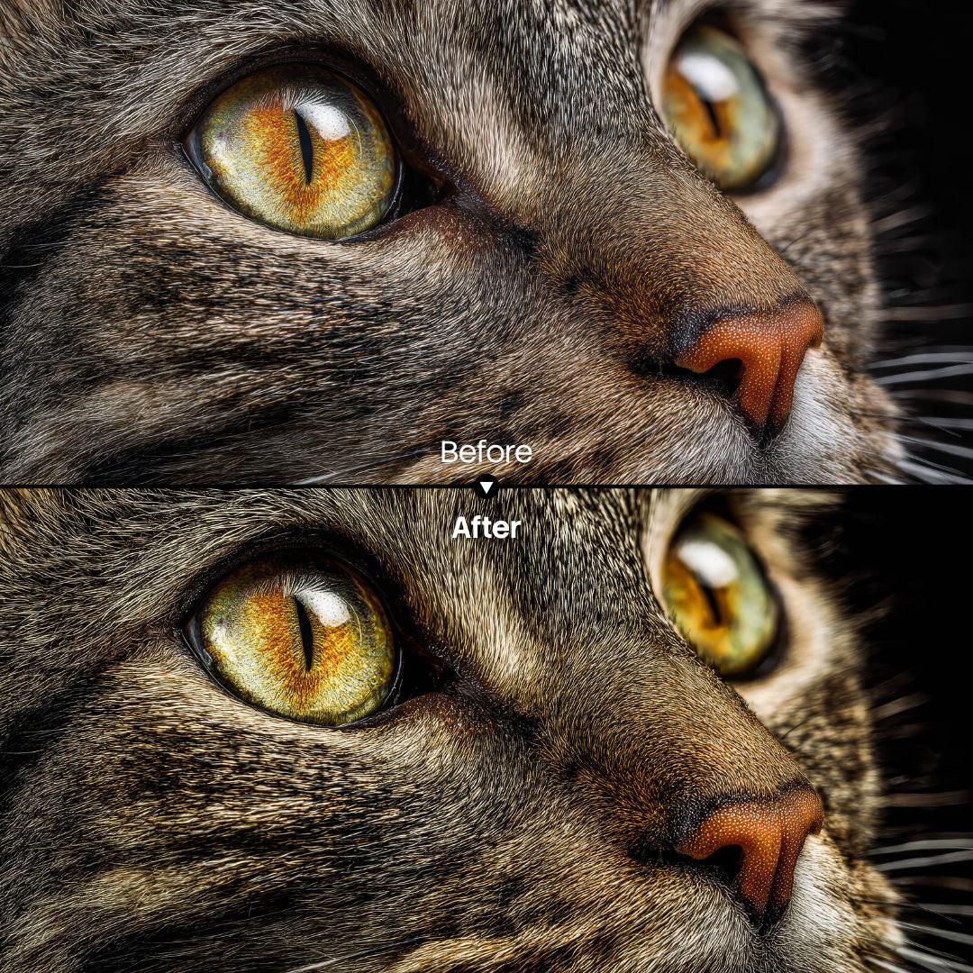 Shadowy Portrait XMP presets color grading preview