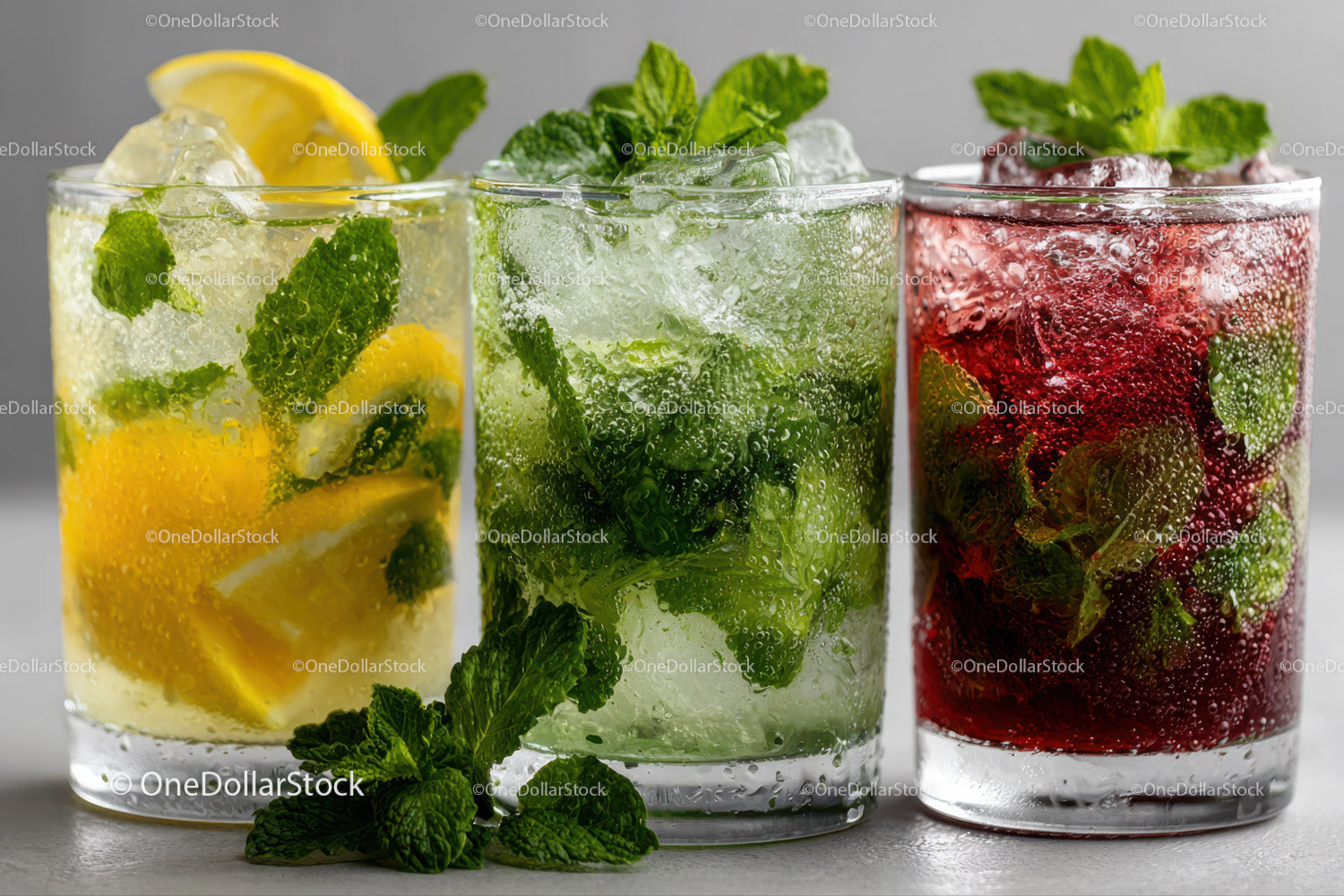 Assorted Fruit and Mint Infused Sparkling Beverages with Ice