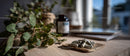 Herbal Medicine Capsules and Organic Herbs on Wooden Table
