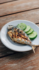 Fresh Grilled Fish with Cucumber Slices on White Plate