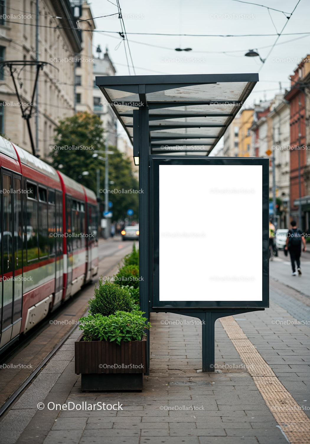 Empty tram stop with modern advertising board in city