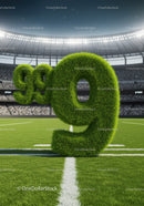 Fifty Nine crafted from green grass on stadium field