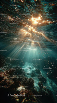Enchanting Underwater Scene with Sunlight and Bubbles