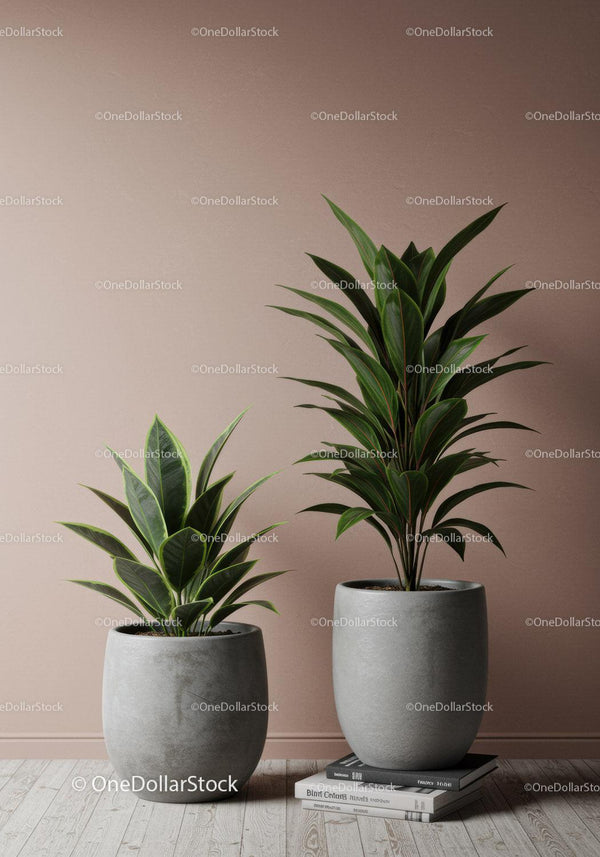Lush Houseplants in Modern Concrete Pots for Interior Decor