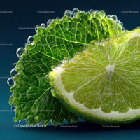 Close-Up of Fresh Lime with Mint Leaf and Water Droplets