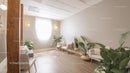 Modern Lounge with White Armchairs and Lush Green Houseplants