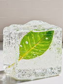 Fresh Green Leaf Preserved Inside Clear Ice Cube