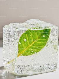 Fresh Green Leaf Preserved Inside Clear Ice Cube