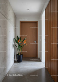 Modern Interior with Wooden Door and Bright Tropical Plant