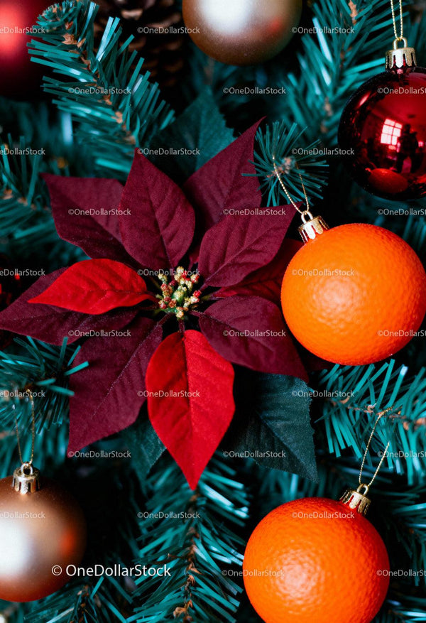 Festive Christmas Tree Decorated with Ornaments and Poinsettia