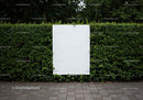 Blank white poster on green hedge with stone pavement