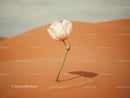 Delicate white flower blooming in vast orange desert