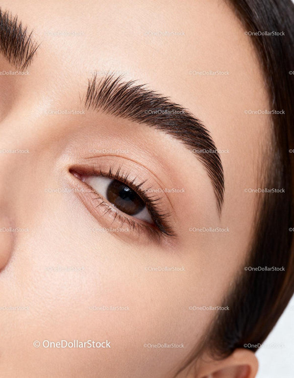 Close-up of well-groomed eyebrow and natural skin texture