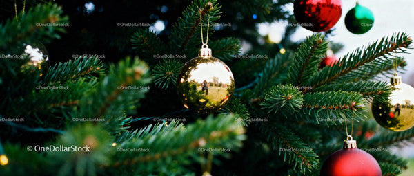 Close-up of Christmas tree with colorful baubles