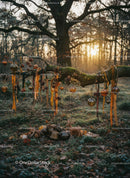 Rustic outdoor decorations on a mossy tree branch at sunset