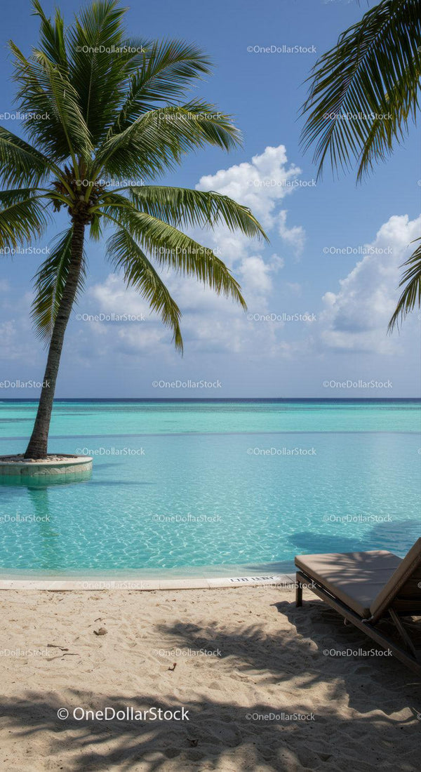 Tropical Beach Scene with Palm Trees and Clear Blue Water