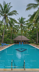 Tropical Resort with Swimming Pool Surrounded by Palm Trees and Greenery