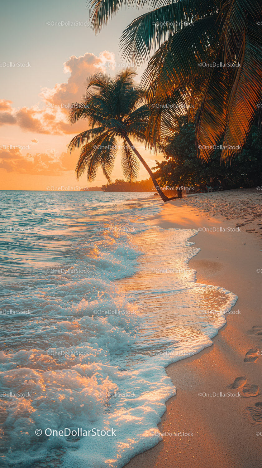 Sunset Over Tropical Beach with Palm Trees and Clear Ocean Water