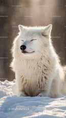 Graceful Arctic Wolf Enjoying a Sunny Winter Day
