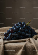 Fresh dark grapes resting on soft beige fabric