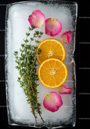 Fresh orange slices and herbs preserved in ice
