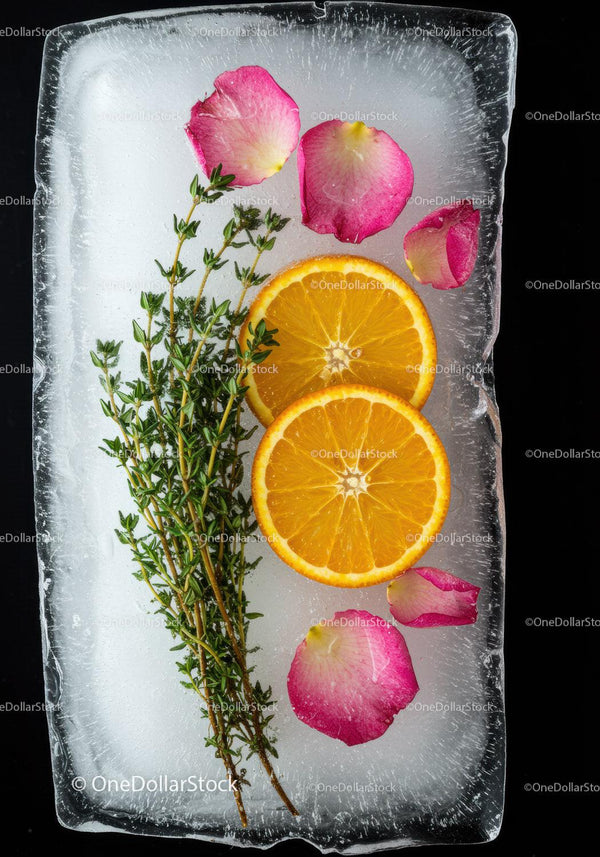 Fresh orange slices and herbs preserved in ice