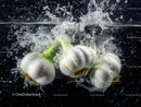 Fresh Garlic Bulbs Splash in Water for Culinary and Food Photography