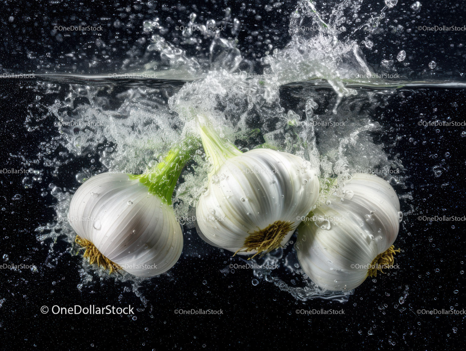 Fresh Garlic Bulbs Splash in Water for Culinary and Food Photography