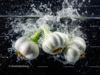 Fresh Garlic Bulbs Splash in Water for Culinary and Food Photography