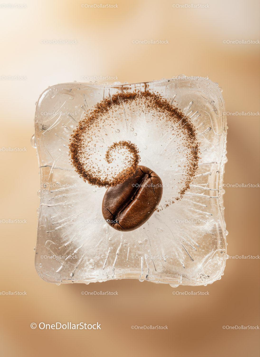 Single Coffee Bean Frozen Inside Clear Ice Cube