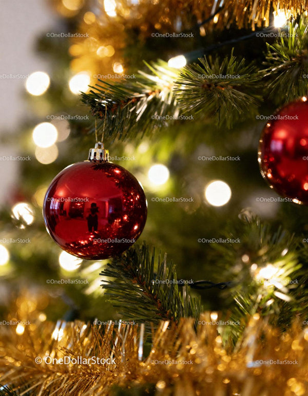 Close up of red Christmas ornament on decorated tree