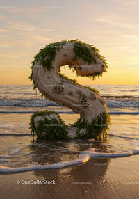 Wooden Letter S Decorated with Seaweed on Shoreline