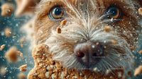 Close-Up of Cute Puppy with Blue Eyes Surrounded by Cookie Crumbs