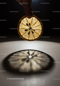 Hand Holding Dried Citrus Slice with Shadow Reflection