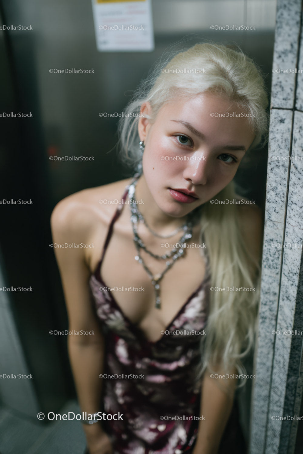 Stylish Blonde Woman in Floral Dress and Jewelry Portrait