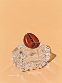 Single coffee bean resting on clear ice cube