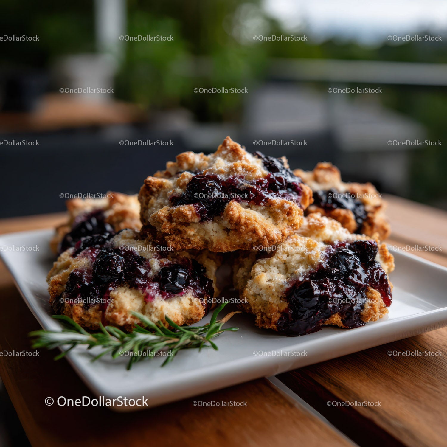Blueberry Crumble Dessert with Fresh Blueberries and Crispy Topping