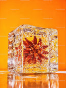 Star Anise Frozen Inside Clear Ice Cube on Orange Background