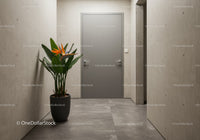 Modern Hallway with Gray Door and Tropical Bird of Paradise Plant