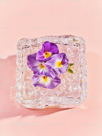 Purple pansy flowers frozen in ice cube on pastel background