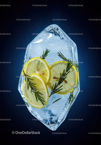 Fresh lemon slices and rosemary frozen in ice cube