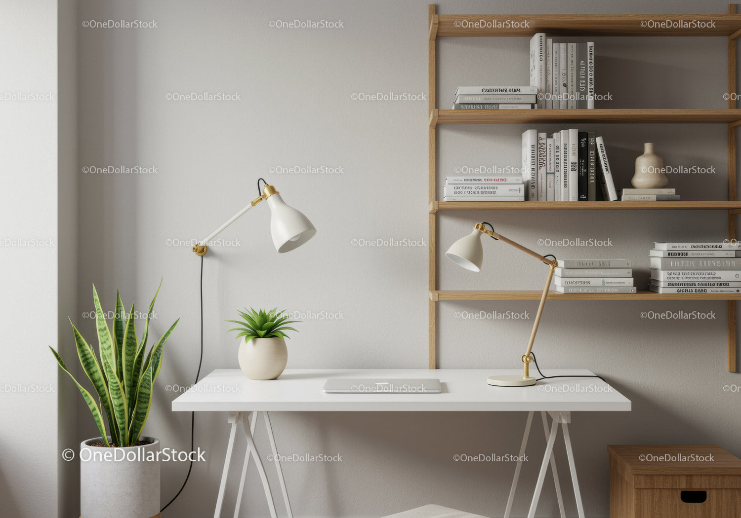 Modern Minimalist Home Office with Green Snake Plant and Wooden Shelf