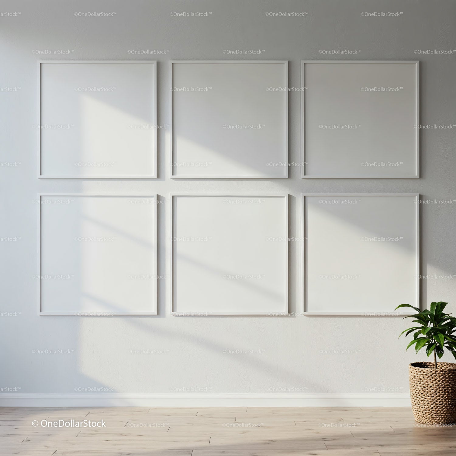 Minimalistyczne wnętrze z pustymi, białymi ramami i zieloną rośliną